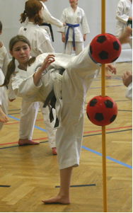 Read more about the article NÖ. Landesmeisterschaft 2022<br>Karate und Kobudo