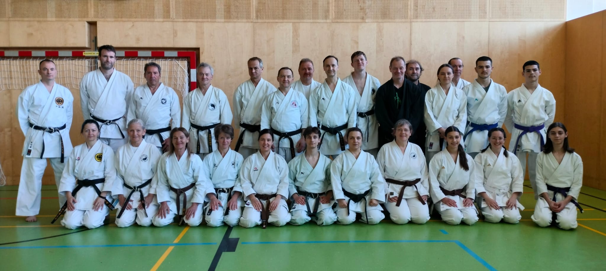 Mehr über den Artikel erfahren Seminar Shorin Ryu